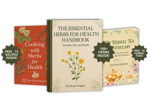 Herbs For Health – Only Herbal Remedies Offer! image