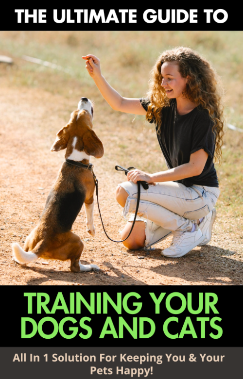 Training Your Dogs And Cats Review image